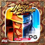 Ninja vs Samurai